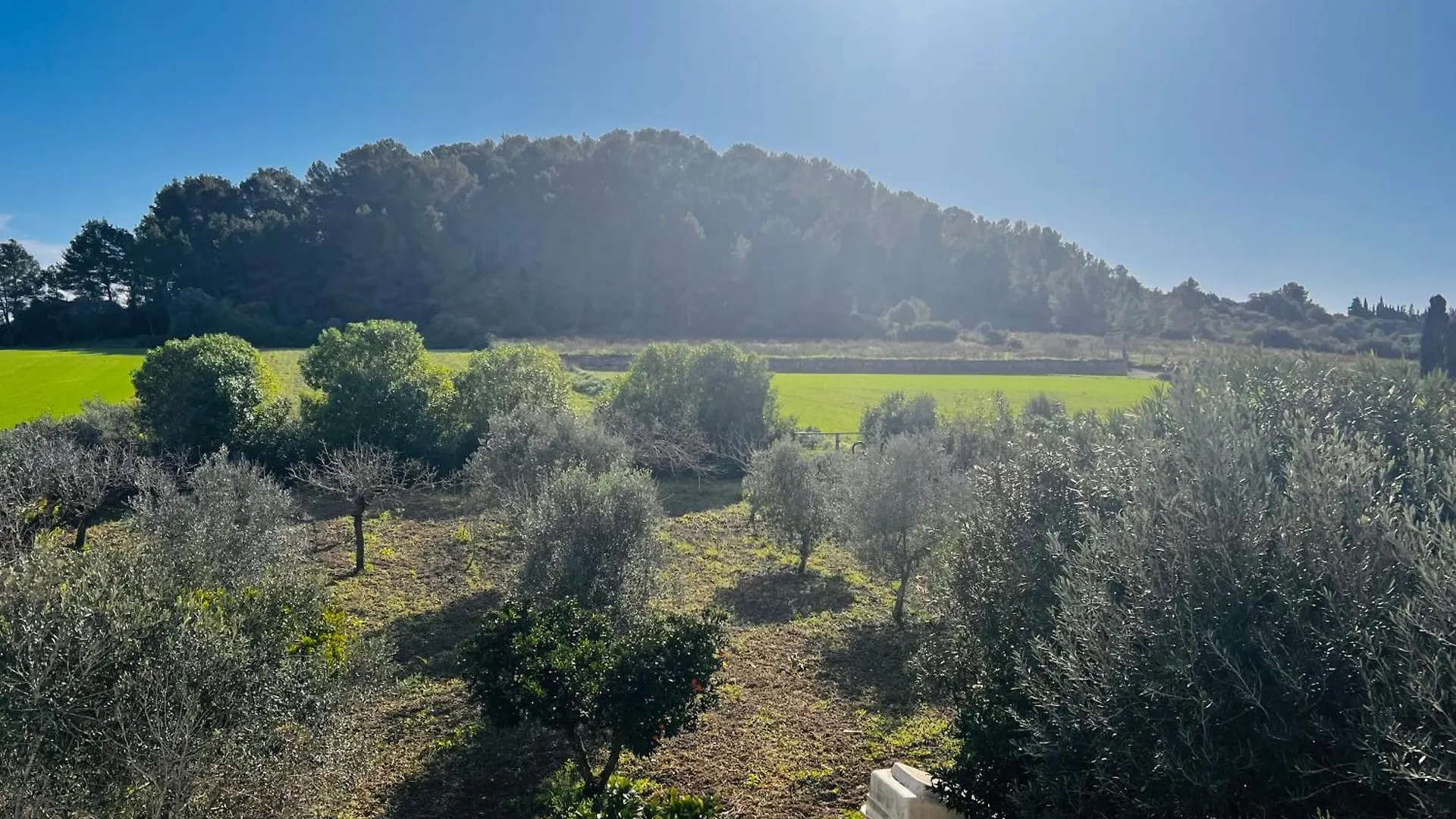 Es Puig Βίλα Santa Margalida Σπίτι διακοπών