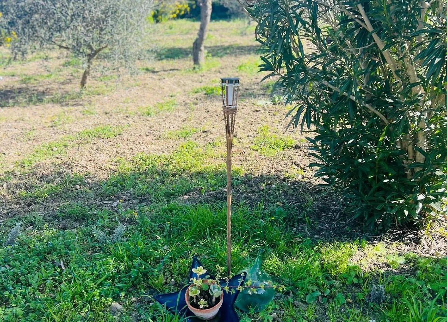 Σπίτι διακοπών Es Puig Βίλα Santa Margalida Ισπανία